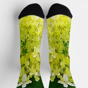 Chaussette Hydrangea Limelight Vert Chartreuse Élégant