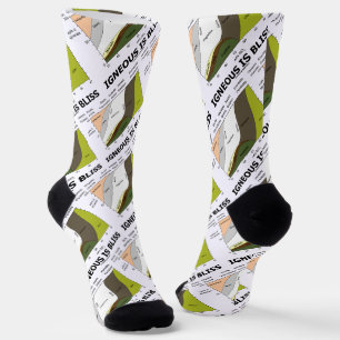 Chaussette Igneous est Bliss Silica Content Geology Humour