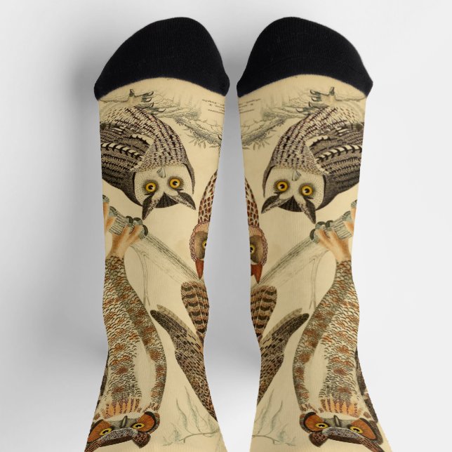 Chaussette illustration de quatre hiboux (Haut)