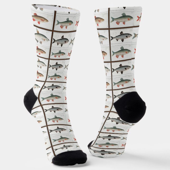 Chaussette Illustrations de poissons vintages (Angulaire)
