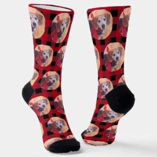 Chaussette Joli animal de compagnie photo Black Red Buffalo p
