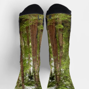 Chaussette Jusqu'à Redwoods I au monument national de Muir Wo