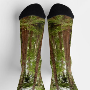Chaussette Jusqu'aux séquoias I à Muir Woods National Monumen