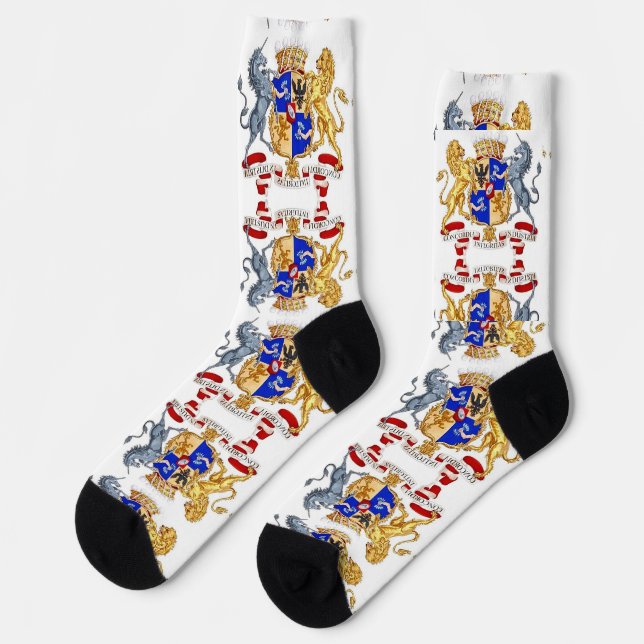 Chaussette la concordia integritas chaussettes (Gauche)