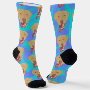 Chaussette Labrador Dudley personnalisé