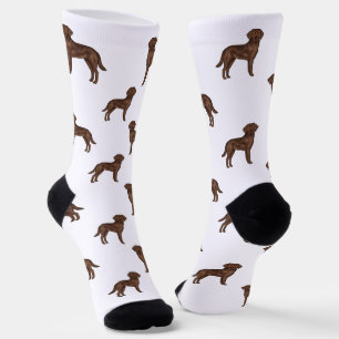 Chaussette Labrador Retriever Chocolat Motif Chien Brun