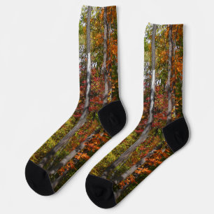 Chaussette L'automne dans la forêt Photographie d'automne col