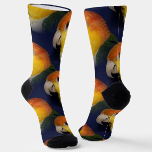 Chaussette Le perroquet caïque coloré