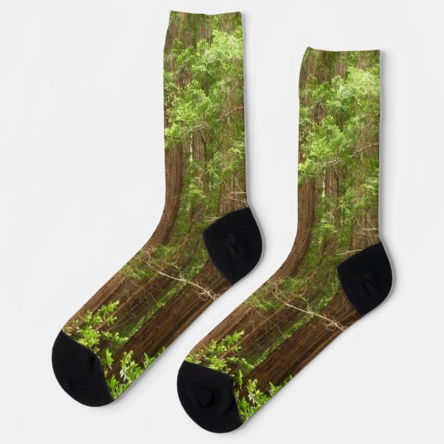 Chaussette Les séquoias au monument national de Muir Woods (Gauche)