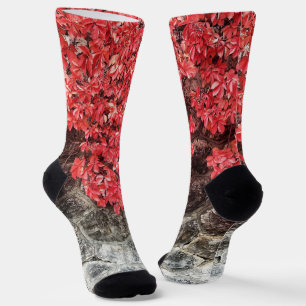 Chaussette Lierre rose rouge gris feuilles automne photo abst