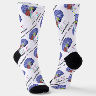 Chaussette Live The Examiné Life Think & Reflect Conseils