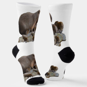 Chaussette Maman Capybara Avec Des Bébés,
