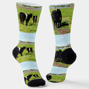 Chaussette Maman Et Bébés Galloway Cow, Chaussettes D'Équipag