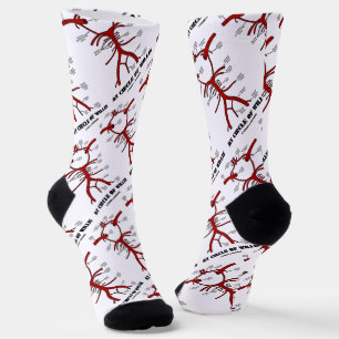 Chaussette Mon Cercle De Willis Circulation Anatomique Du San