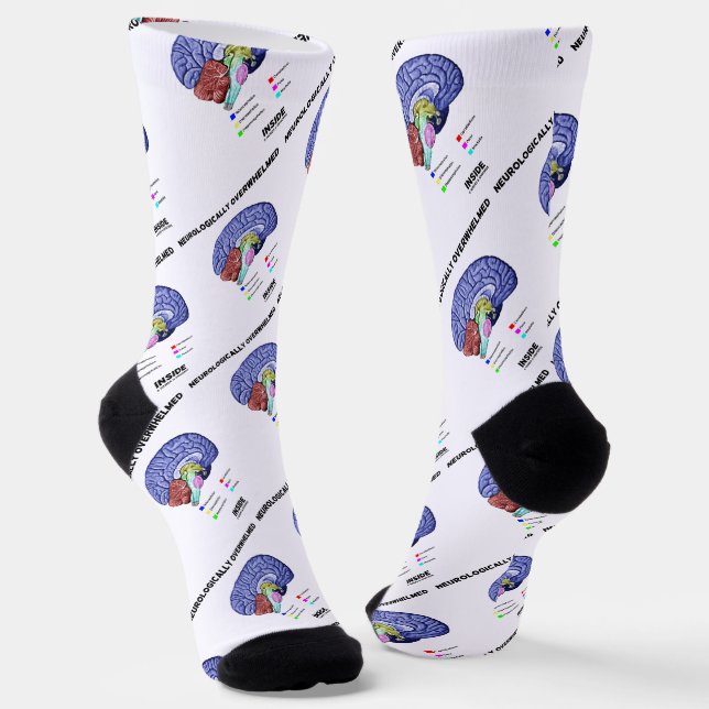 Chaussette Neurologiquement dépassée dans l'anatomie cérébral (Angulaire)