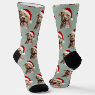 Chaussette Noël personnalisé Pitbull personnalisé 