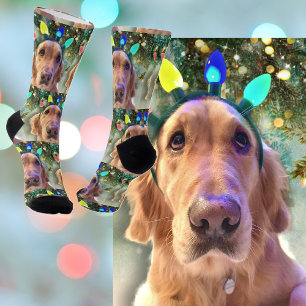 Chaussette Nova Les Chaussettes d'équipage de Noël du Golden