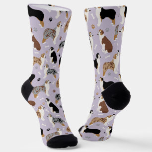 Chaussette Os bergers australiens et chaussettes pattes