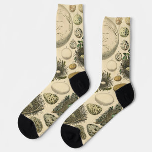 Chaussette Peinture artistique de nid d'oeuf d'oiseau vintage