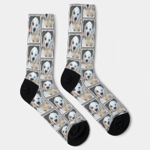 Chaussette Peinture de Chien d'Art original de Peinture de Ch
