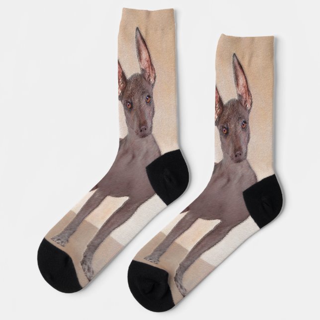 Chaussette Peinture Xoloitzcuintli - Cute Original Chien Art (Gauche)