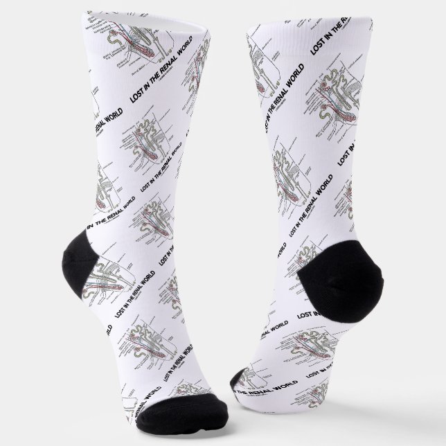 Chaussette Perdu Dans Le Néphron Du Rein Du Monde Renal (Angulaire)