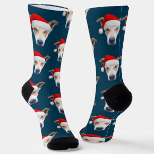 Chaussette Petit chien animal de compagnie photo Marine bleu 