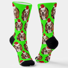 Chaussette Photo d'animal de compagnie Neon Green Chapeaux de