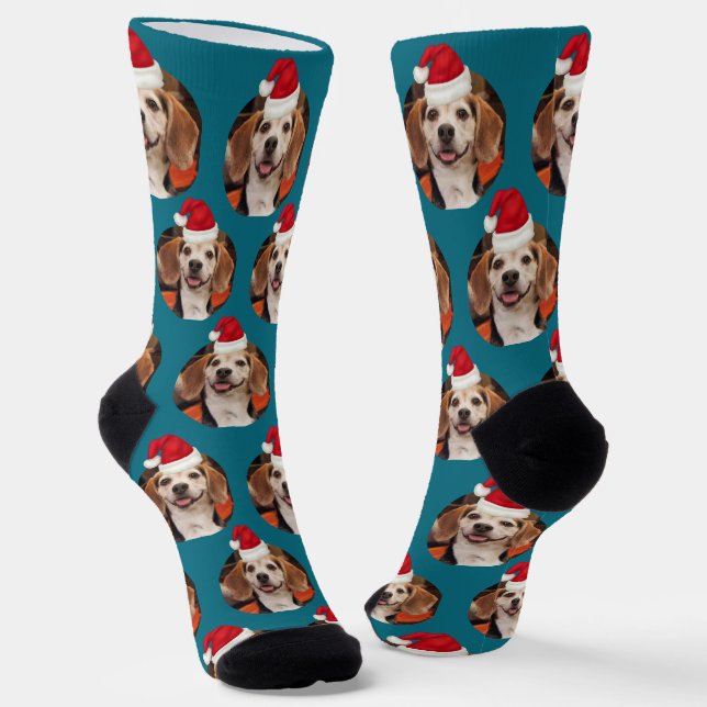 Chaussette Photo de animal de compagnie Dark Turquoise chapea (Angulaire)