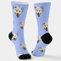 Photo de chien personnalisée sur chaussettes équip