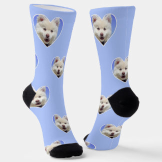 Chaussette Photo de chien personnalisée sur chaussettes équip