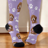 Photo mignonne Amoureux des chiens animal violet