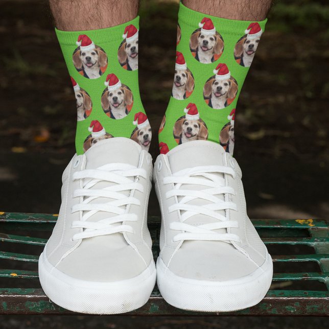 Chaussette Photo pour animaux de compagnie vert sportif et ch (Créateur téléchargé)