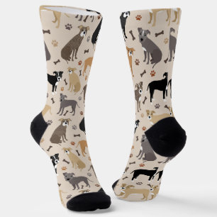 Chaussette Poches Pitbull et socles