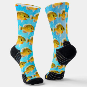 Chaussette Poisson merle et chaussettes d'eau bleue