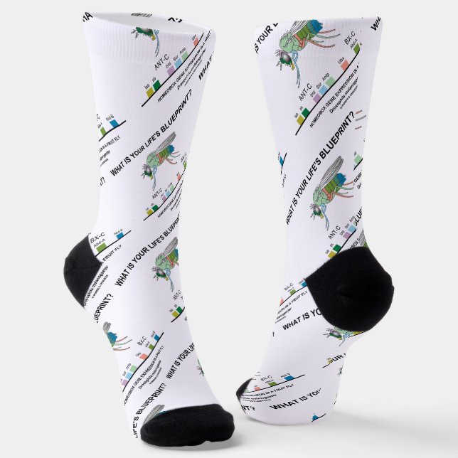 Chaussette Quel est le plan directeur de votre vie ? Biologie (Angulaire)