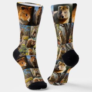 Chaussette "Quokka Chronicles : Un Collage De Photos Plein De