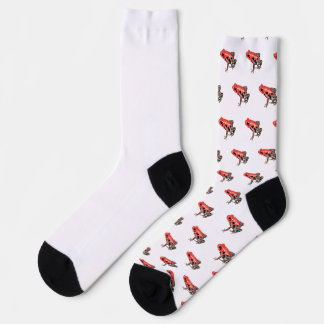 Chaussette Rana venenosa