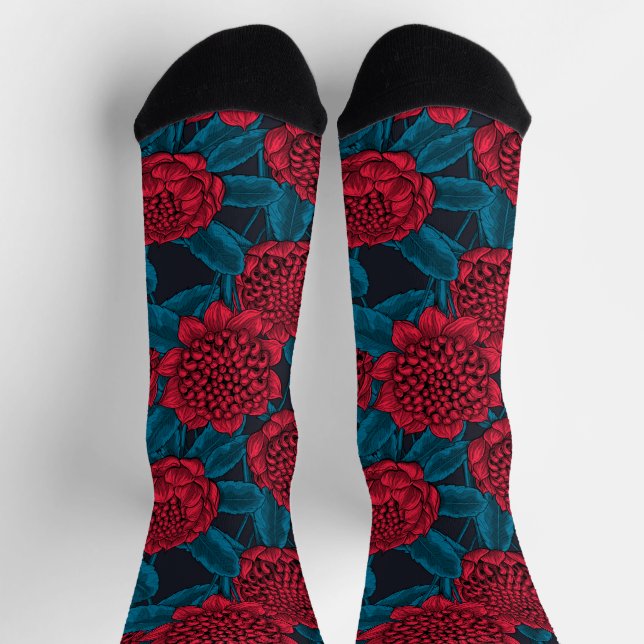 Chaussette Red waratah flowers (Haut)