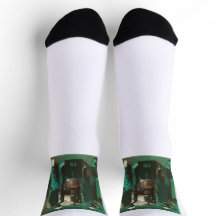 Rico et Timothy Socks