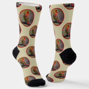 Chaussette Scarlet Tanager Molting Photographie originale