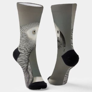 Chaussette Stately african Grey Parrot