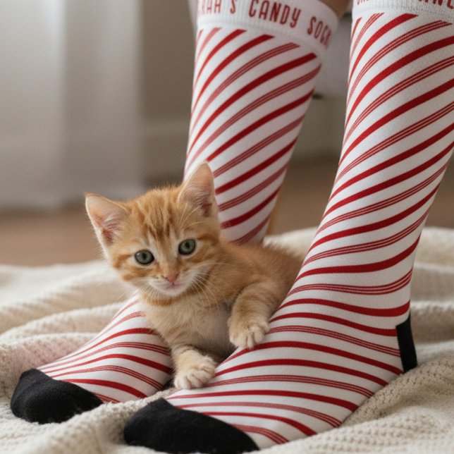 Chaussette Sucre de canne rouge et blanc Chaussettes de Noël  (Enjoy holiday cuddles with your furry friend! )