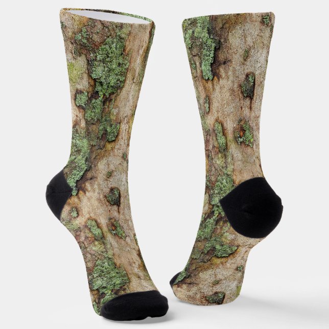 Chaussette Sycamore arbre écorce mousse Lichen (Angulaire)