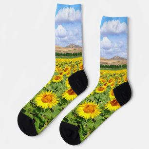 Chaussette Terrain de tournesol
