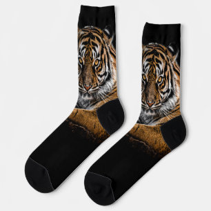 Chaussette Tigre animal sauvage de la Jungle