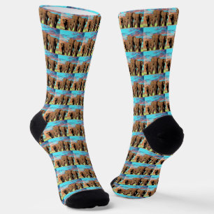 Chaussette Trois éléphants africains, Chaussettes d'équipage