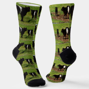 Chaussette Vaches de galloway ceinturées, Chaussettes d'équip