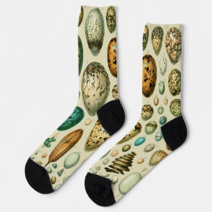 Chaussette Vintage Bird Eggs French Fish Egg