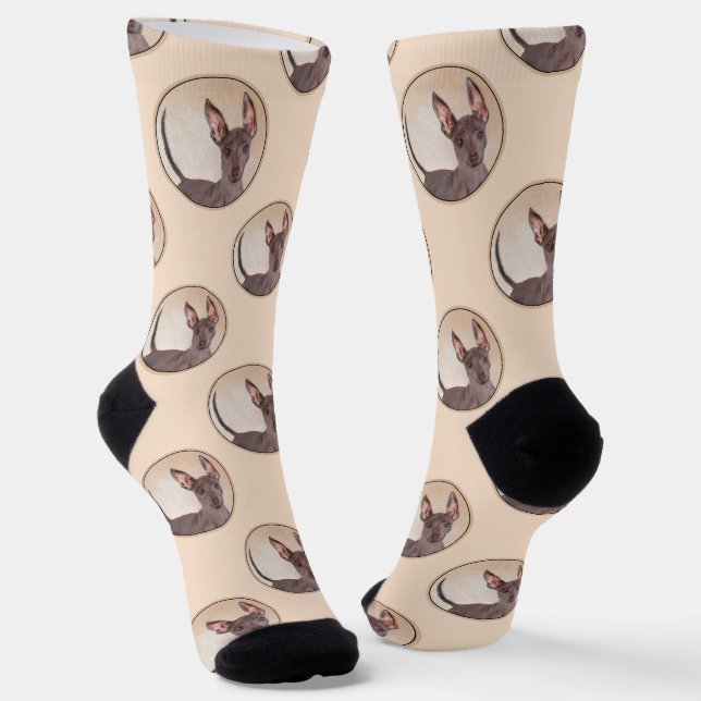 Chaussette Xoloitzcuintli Peinture Foie Sans Cheveux Art Chie (Angulaire)
